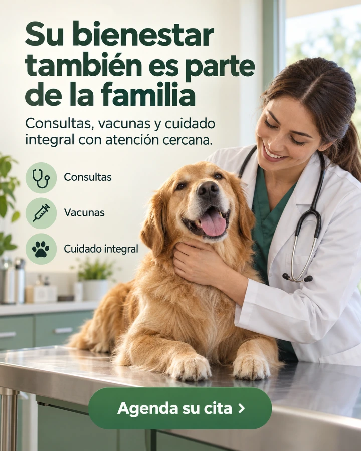 Publicación de veterinaria sobre consultas, vacunas y cuidado integral, con llamada a agendar cita